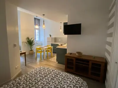 Télévision ou salle de divertissement dans l'établissement Dole : studio en plein centre, copropriété calme