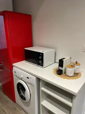 Cuisine ou kitchenette dans l'établissement L'appart Saint-Laurent