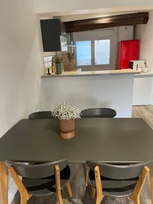 Cuisine ou kitchenette dans l'établissement L'appart Saint-Laurent