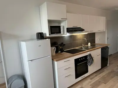 Cuisine ou kitchenette dans l'établissement Appartement Cosy