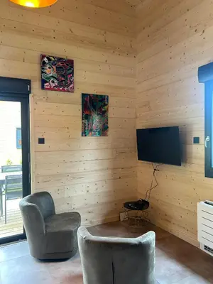 Télévision ou salle de divertissement dans l'établissement Chalet 4-6 personnes proche Lac de Chalain avec terrasse