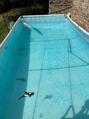 Piscine de l'établissement La Maison du bonheur - Gîte RULINA - Corancy ou située à proximité