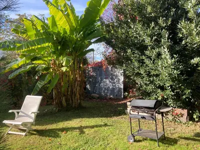 Jardin de l'établissement GITE Voie Verte , jardin, CV LOUHANS