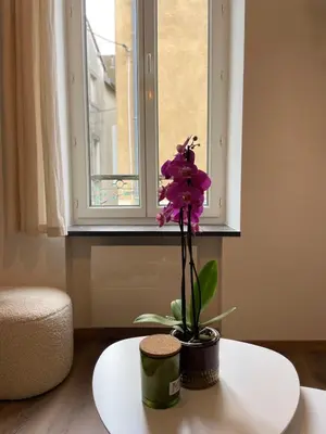Coin salon dans l'établissement La maison douce