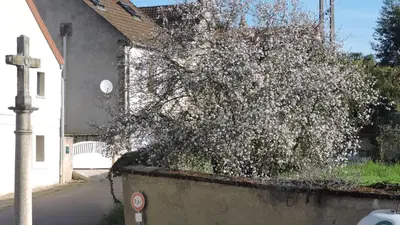 Jardin de l'établissement Le Vendangeur