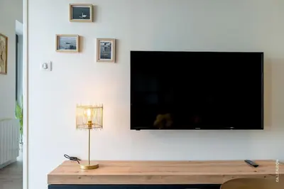 Télévision ou salle de divertissement dans l'établissement Appartement T2 climatisé Le quai 391