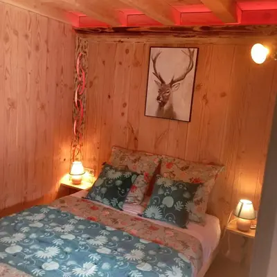 Un ou plusieurs lits dans un hébergement de l'établissement A la cabane des Bois dessus Tiny Gite
