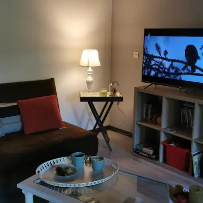 Télévision ou salle de divertissement dans l'établissement Longère bressane.