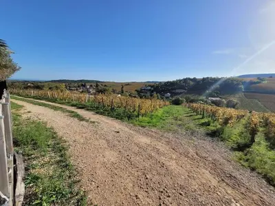 Paysage naturel près de la maison de vacances