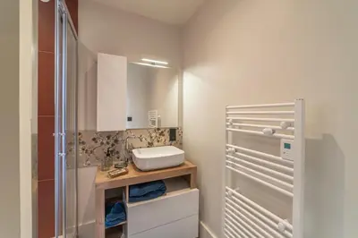 Salle de bains dans l'établissement Le Jungle - Appt pour 6 avec parking privé