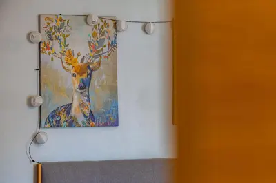 Plan de l'établissement Le cosy * Charmant * Studio