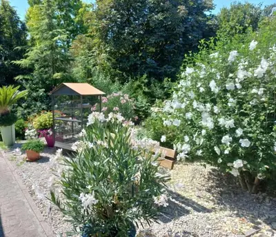 Jardin de l'établissement Gîte du Solnan