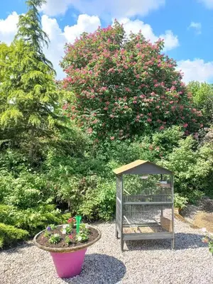 Jardin de l'établissement Gîte du Solnan