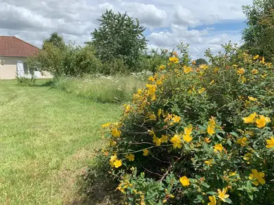 Jardin de l'établissement Une pause à Dompierre