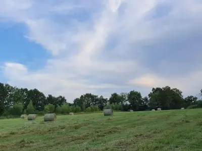 Paysage naturel près de la maison de vacances