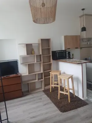 Cuisine ou kitchenette dans l'établissement Studio lumineux centre-ville