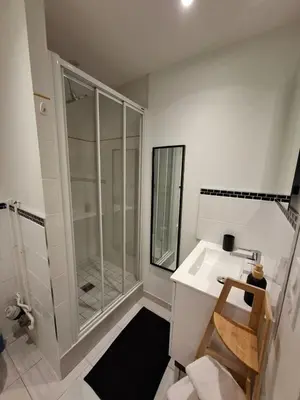 Salle de bains dans l'établissement Joli appartement au coeur de Mâcon