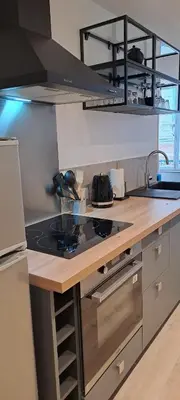 Cuisine ou kitchenette dans l'établissement Joli appartement au coeur de Mâcon