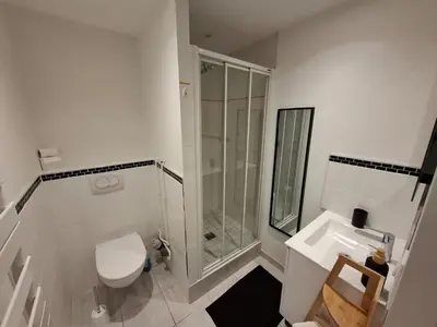 Salle de bains dans l'établissement Joli appartement au coeur de Mâcon