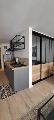 Cuisine ou kitchenette dans l'établissement Joli appartement au coeur de Mâcon