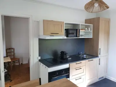 Cuisine ou kitchenette dans l'établissement Les Pivoines