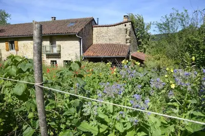 Jardin de l'établissement Atelier de l'Arbre-Lune
