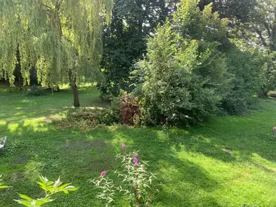 Jardin de l'établissement Les Jardins d'Ayaël