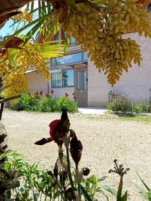 Jardin de l'établissement gite des palmiers