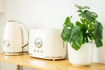 Plateau bouilloire dans l'établissement Studio fonctionnel et confortable avec jardin
