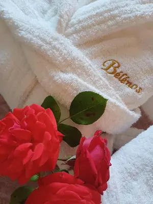 Plan de l'établissement Bélénos - Suites & Spa