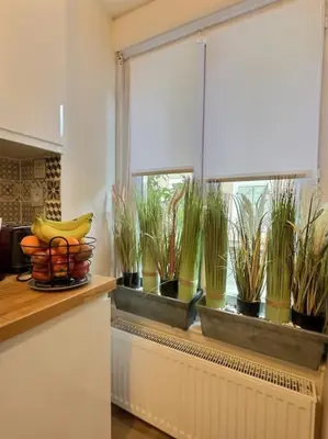 Nourriture dans l'appartement ou à proximité
