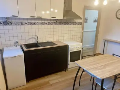 Cuisine ou kitchenette dans l'établissement Appartement cosy en centre ville