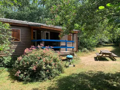 Jardin de l'établissement Domaine de la Jarnoise