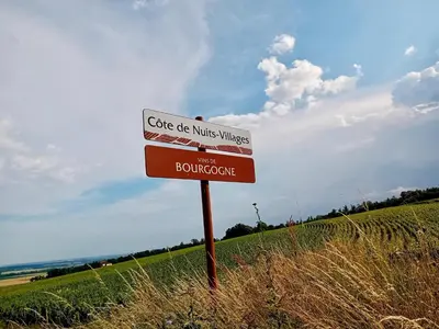 Plan de l'établissement Cocon Bourguignon