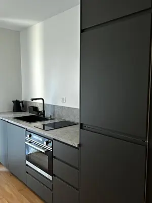 Cuisine ou kitchenette dans l'établissement Appartement moderne