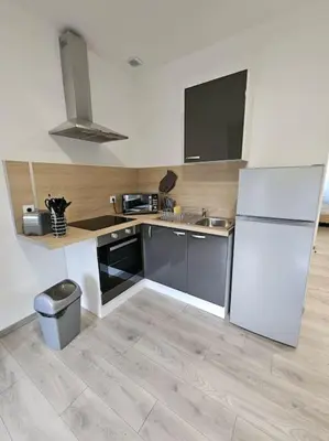 Cuisine ou kitchenette dans l'établissement Appartement Saint-Vallier 71