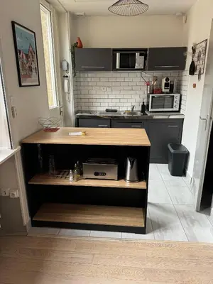 Cuisine ou kitchenette dans l'établissement Studio Le Bareuzai