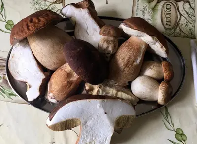 Nourriture dans la maison de vacances ou à proximité