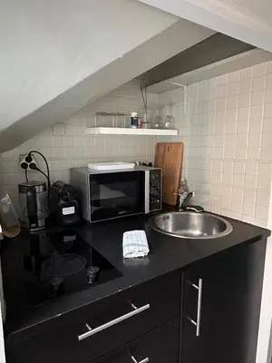 Cuisine ou kitchenette dans l'établissement Studio Le Frêne