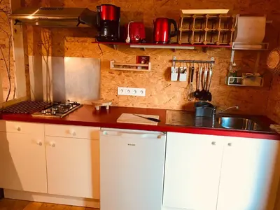 Cuisine ou kitchenette dans l'établissement CHALET DES CHEVREUILS -les chalets de Montsermage