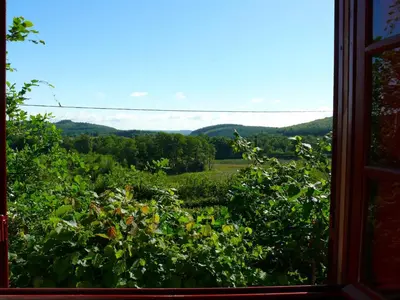 Paysage naturel près de le chalet