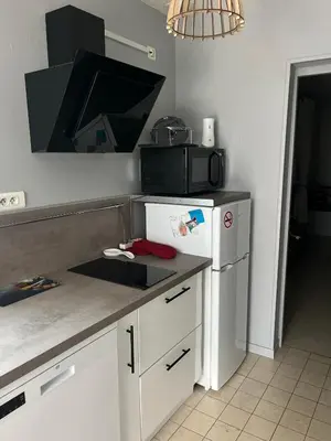 Cuisine ou kitchenette dans l'établissement Escale du parc