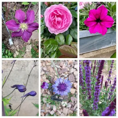 Jardin de l'établissement Domaine de Vauvelle