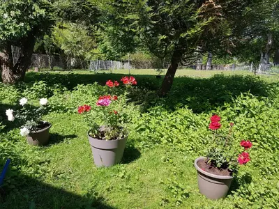 Jardin de l'établissement Le Chateau
