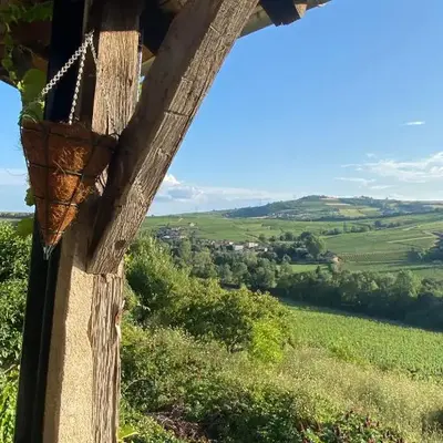 Cottage en vignoble