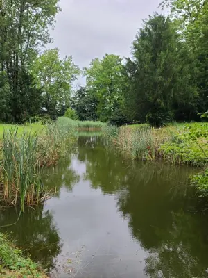Paysage naturel près de l'appartement