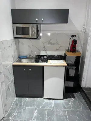 Cuisine ou kitchenette dans l'établissement Le Darcy Dijon gare et centre ville