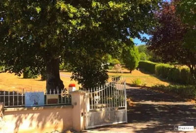 Jardin de l'établissement Au Clos des Ormes
