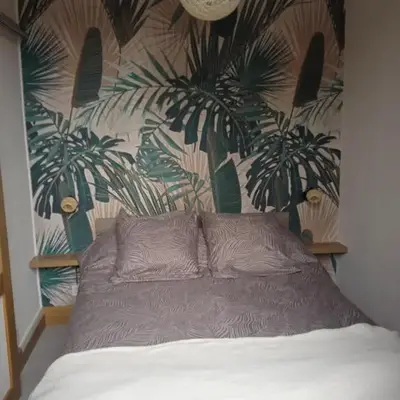 Au petit nid d'Apollon