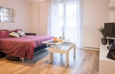 Un ou plusieurs lits dans un hébergement de l'établissement Charmant appartement T1 Mâcon